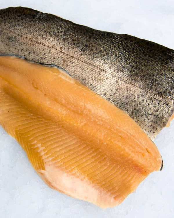 Trout Rainbow 6-8 oz — United States