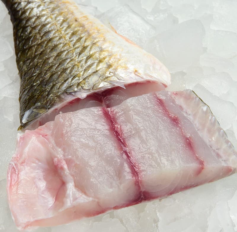 Drum, Red Fillet — United States