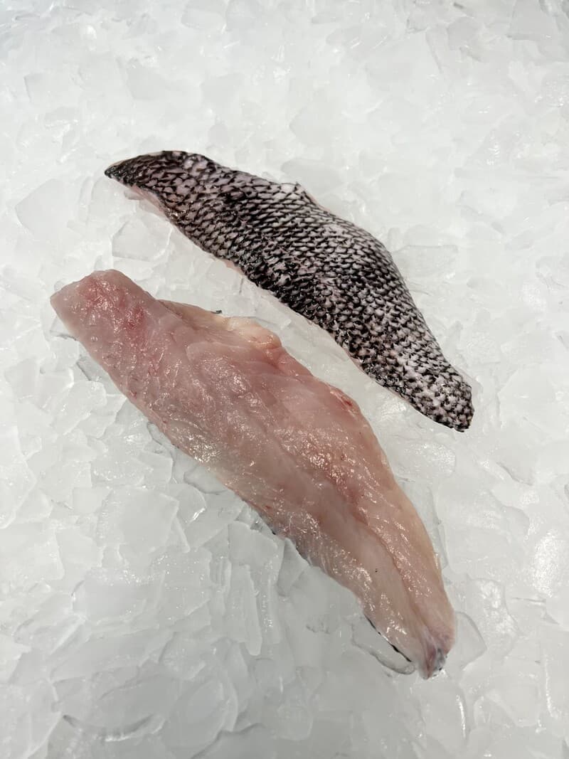 Black Sea Bass Fillet — United States
