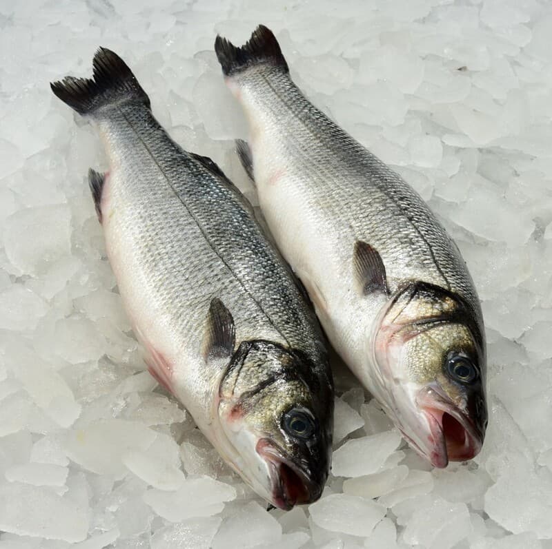 Bronzini Whole 600-800 S&G — Turkey