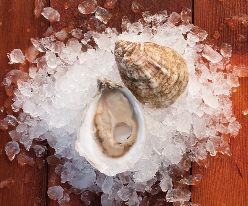 Oysters Olde Salts (Virginia) 100 ct — United States