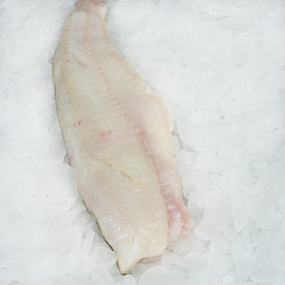 Cod Loins, Icelandic 10+ — Iceland