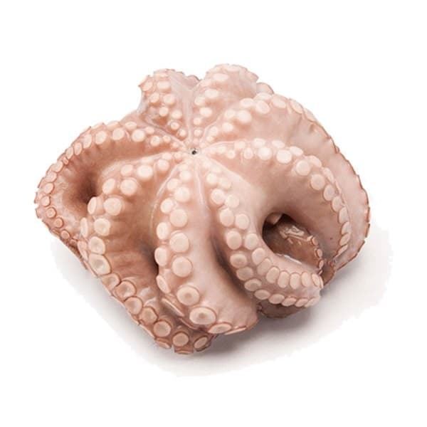 Octopus, Spanish 2/4 lb 25 LB case — Portugal