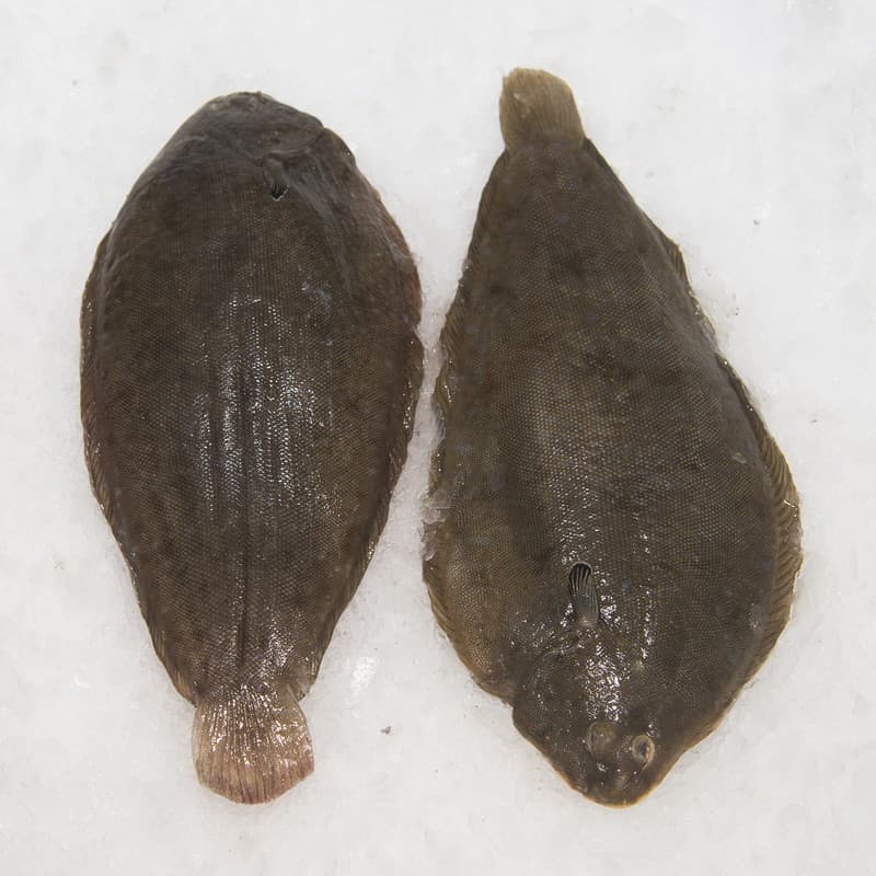 Dover Sole Whole, Farmed 400-500 gr. — Spain