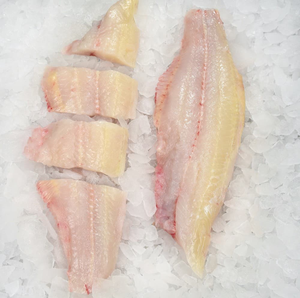 Catfish, Fillet Skin Off Wild Local Fresh — United States