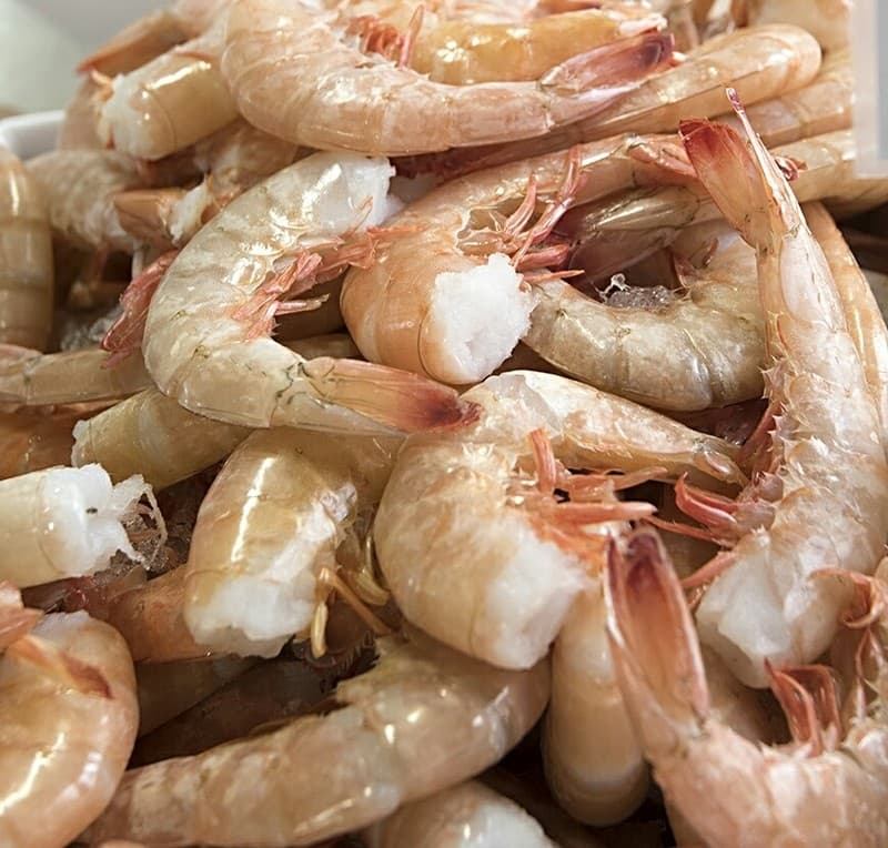 Shrimp, Shell On 16/20 USA 5lb Block — United States