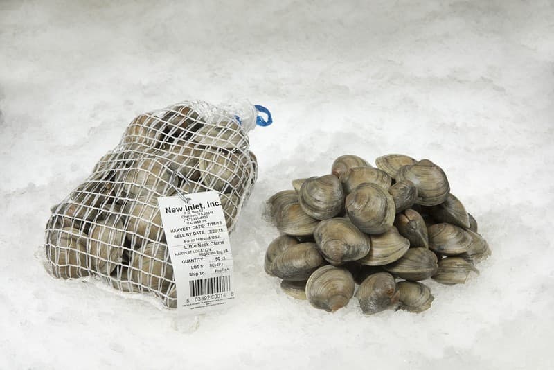 Clams, Littleneck 25ct — United States