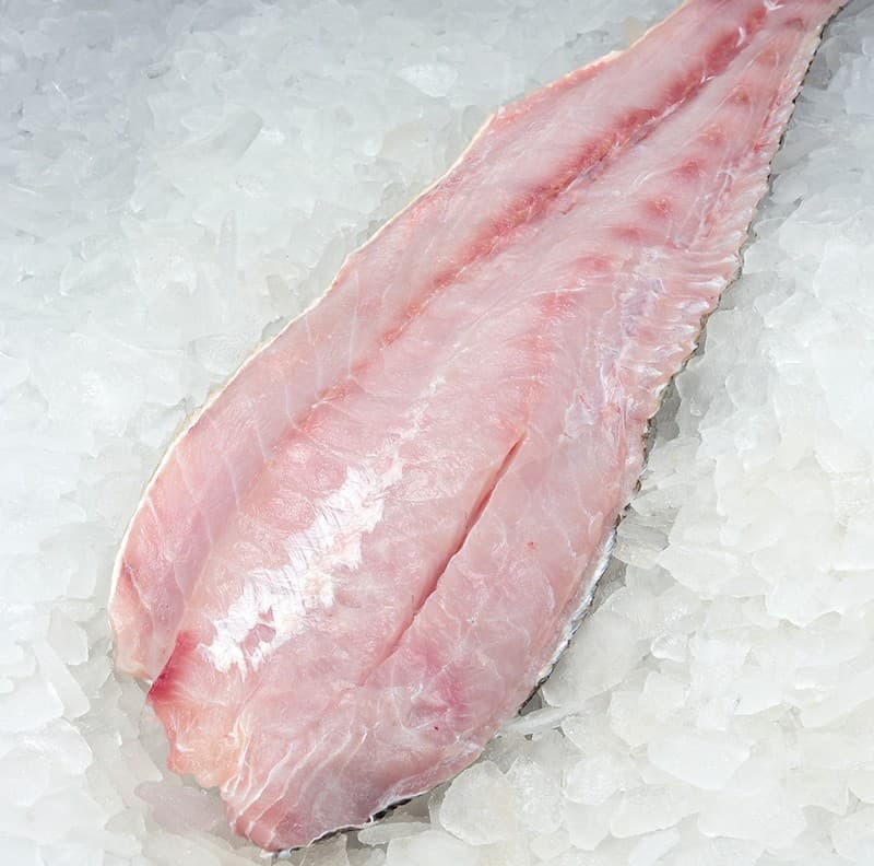 Corvina Fillet Skin Off — Nicaragua