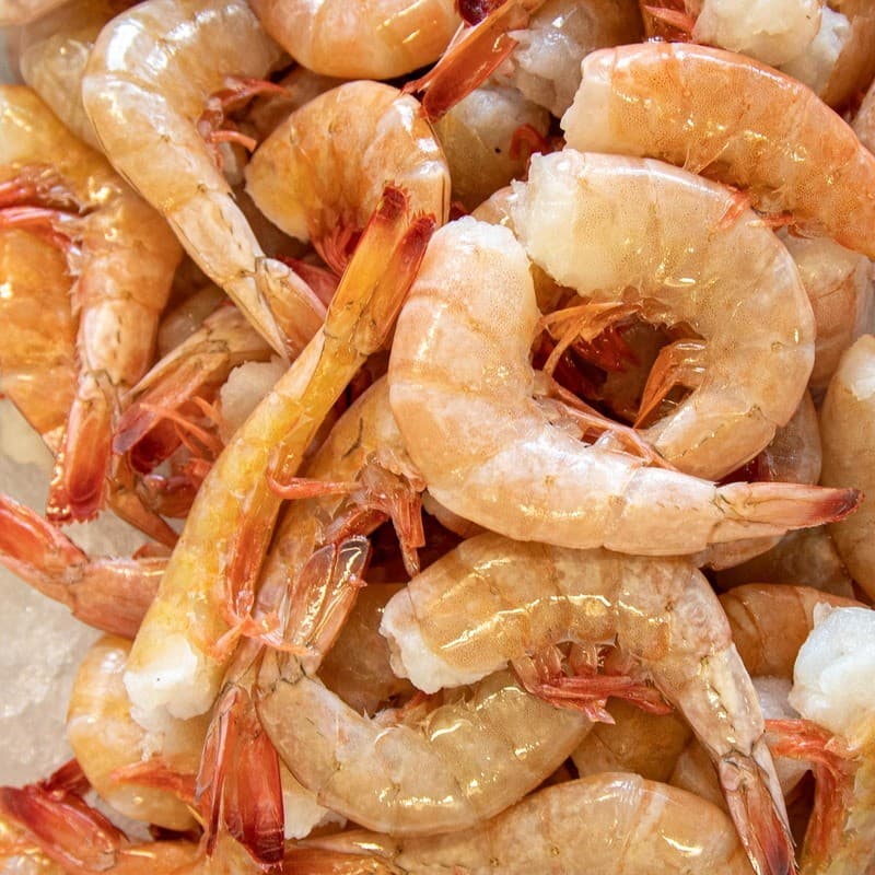 Shrimp Shell On 31/35 USA 5 lb Block — United States