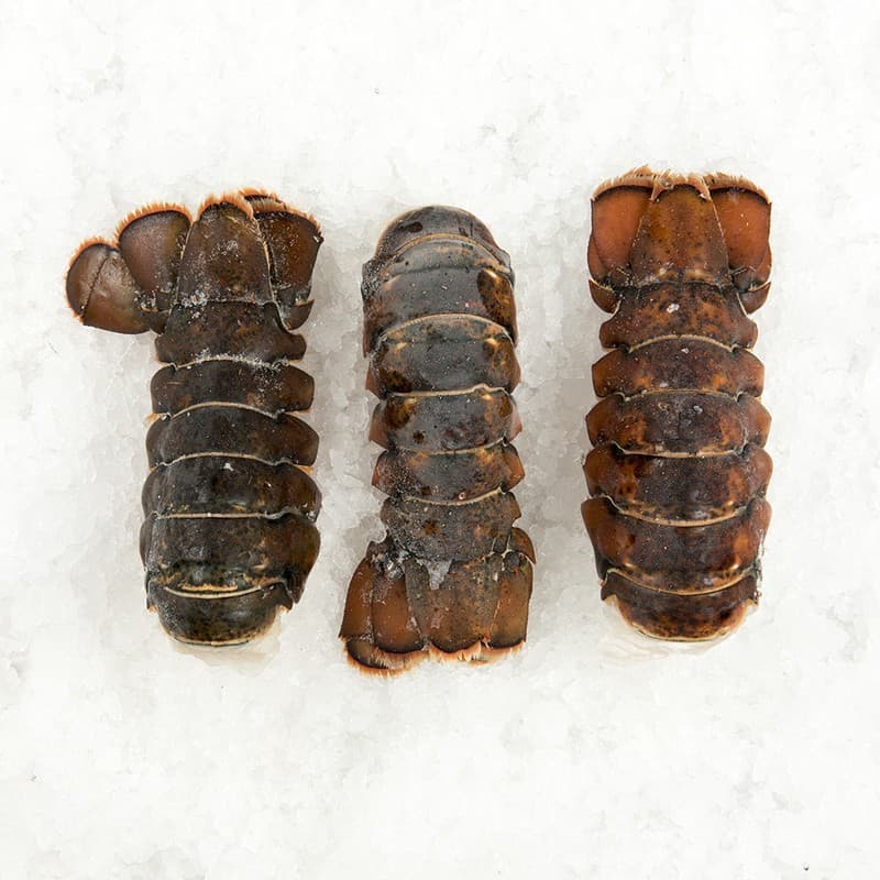 Lobster Tails, 7-8 oz CW Canada Frz 10# — Canada