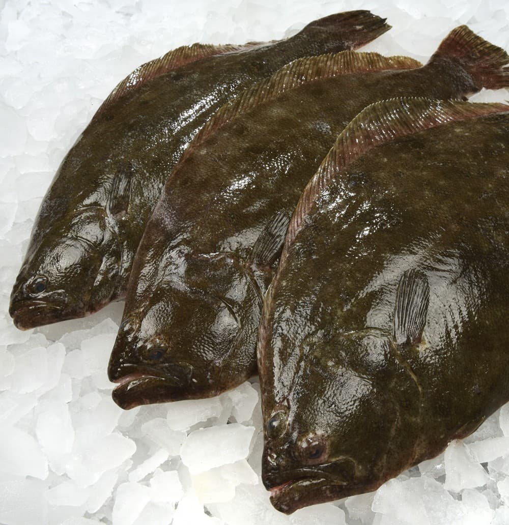 Flounder Whole — United States