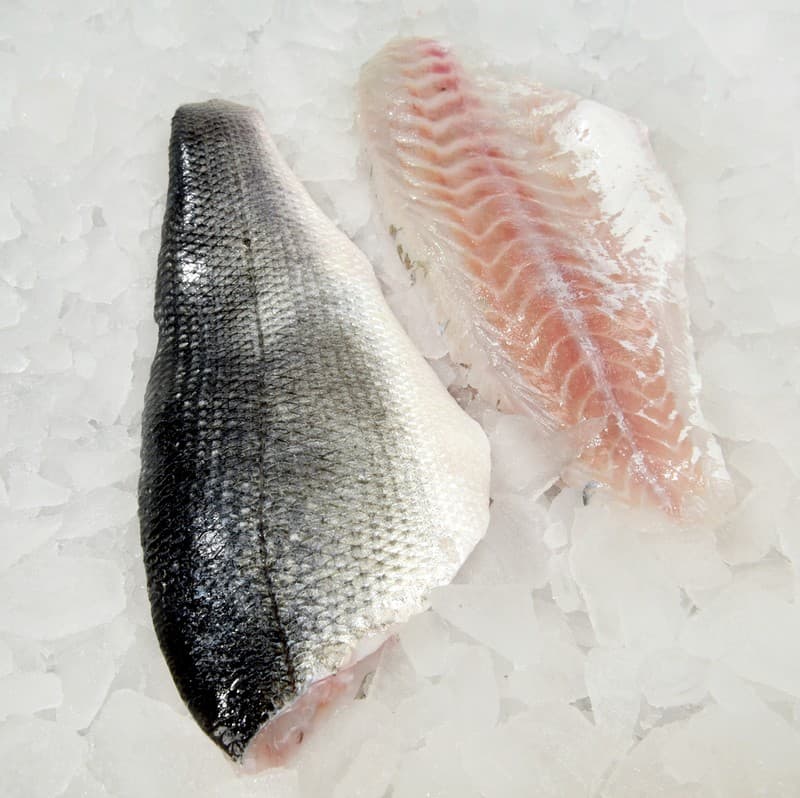 Bronzini Fillet, 400-600 gr Farmed Fresh — Turkey