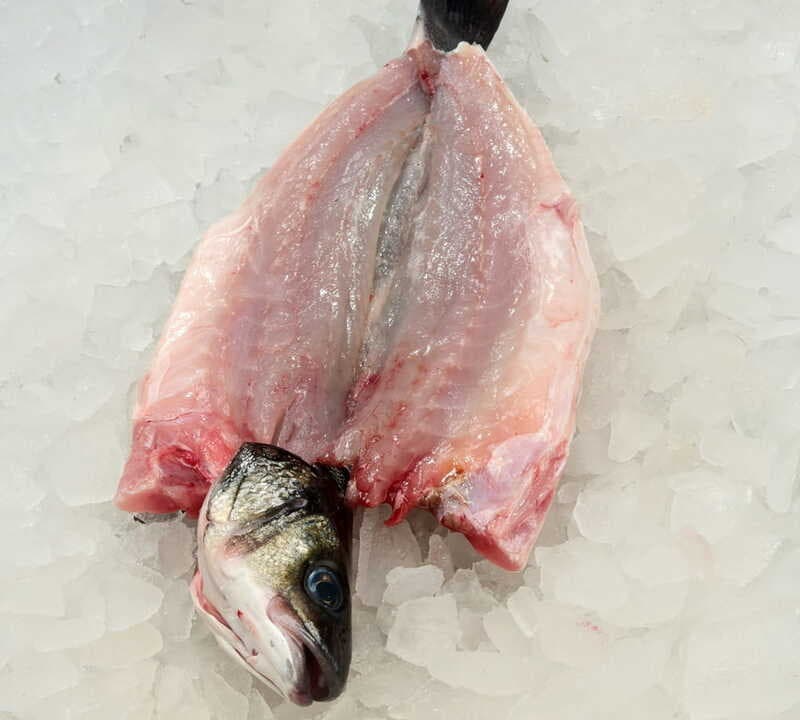 Bronzini Whole HEAD ON Butterfly — Turkey