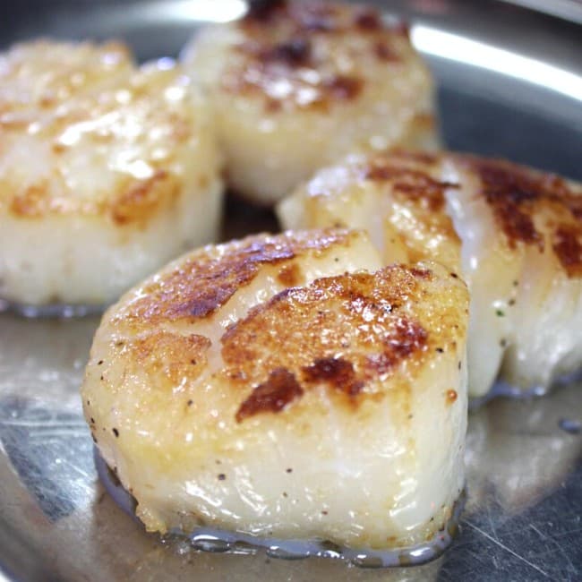 Scallops, 10-20 Dry USA 1 # — United States