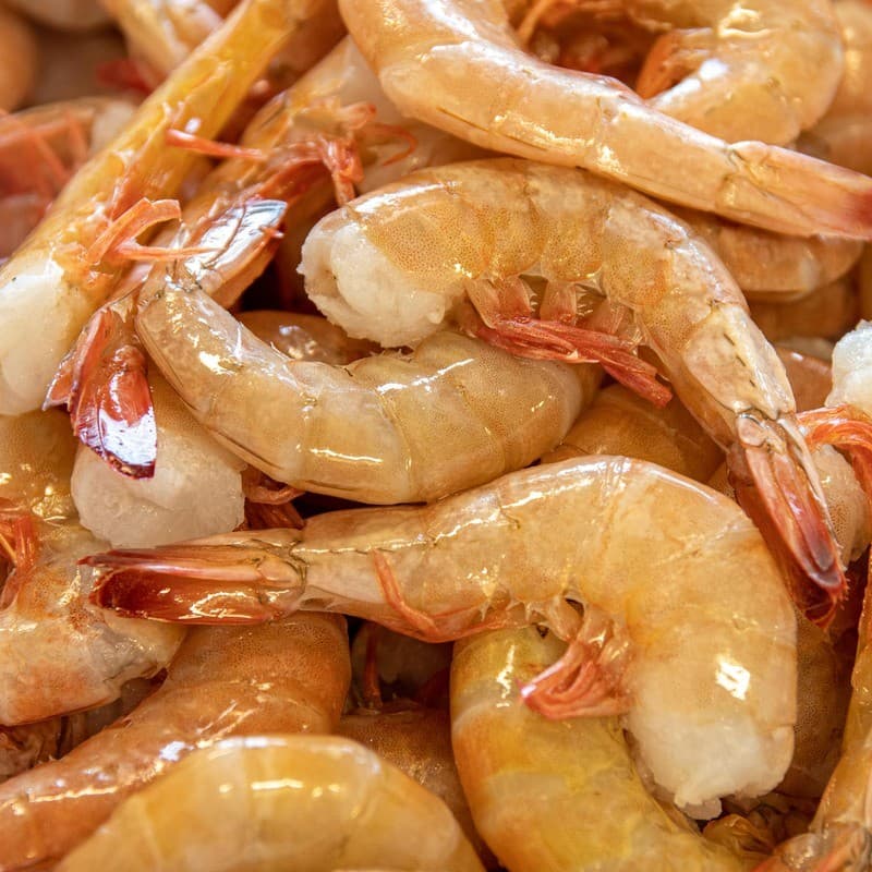 Shrimp, Shell On 21/25 USA 5# Block — United States