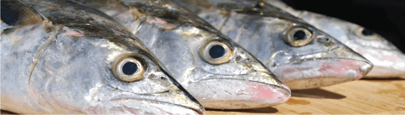 Fresh seafood — ProFish wholesale catalog