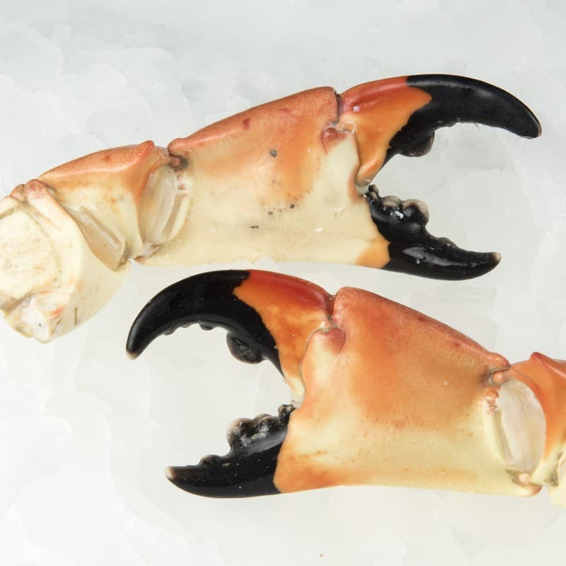 Crab & Crabmeat