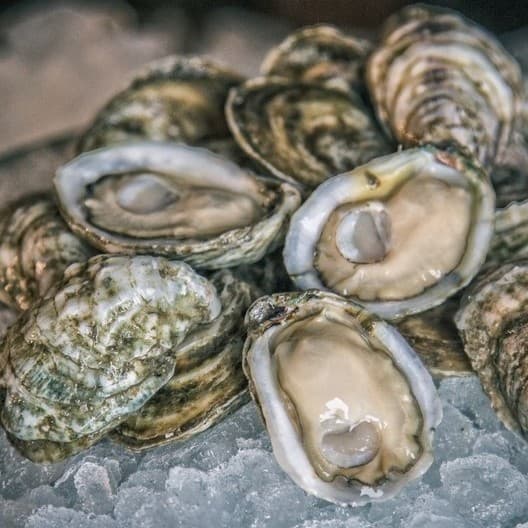 Oysters, Clams & Shellfish
