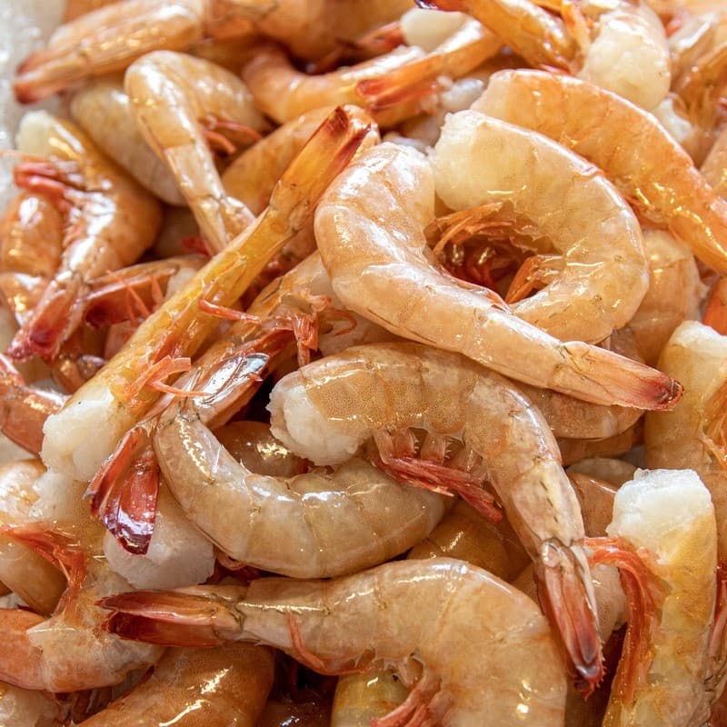 Shrimp